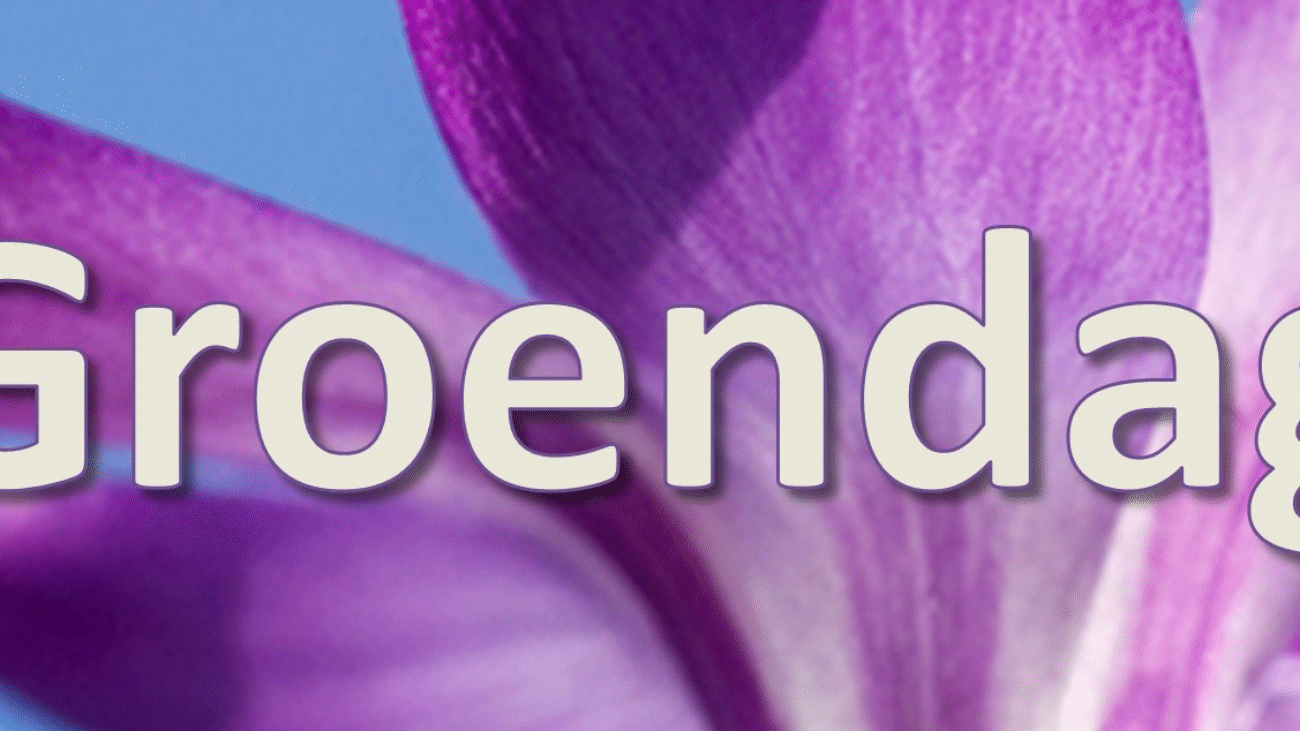 UitnodigingVoorjaar2020 preview